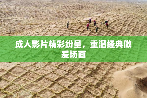 成人影片精彩纷呈，重温经典做爰场面