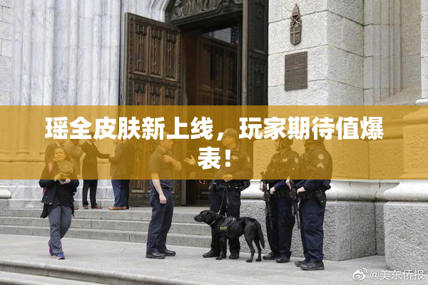 瑶全皮肤新上线，玩家期待值爆表！