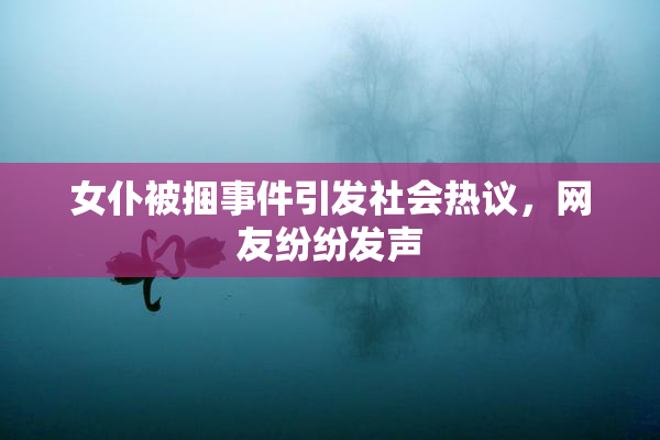 女仆被捆事件引发社会热议，网友纷纷发声