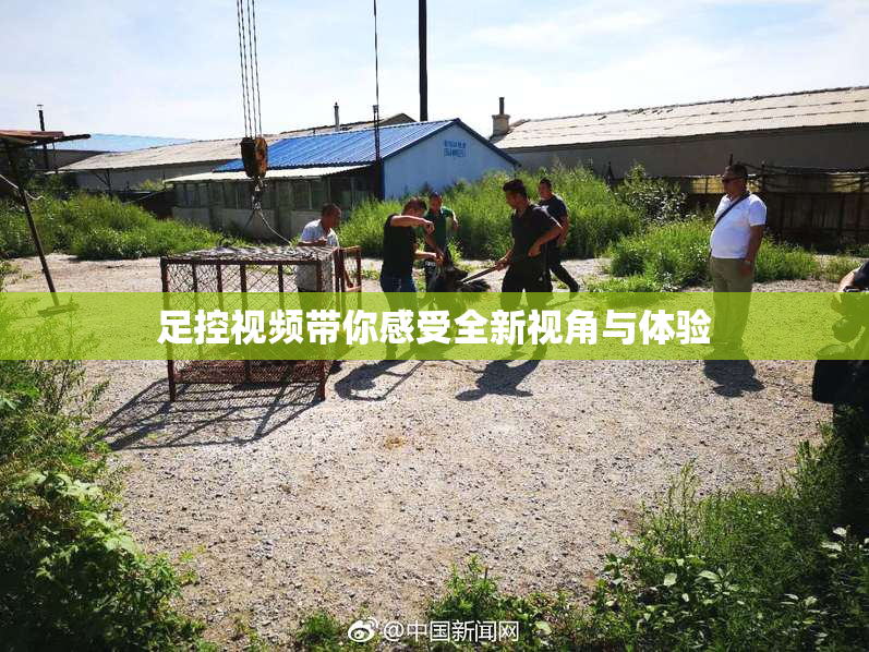 足控视频带你感受全新视角与体验
