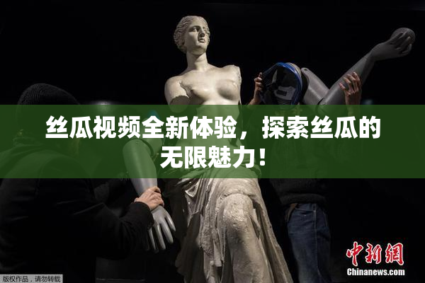 丝瓜视频全新体验，探索丝瓜的无限魅力！