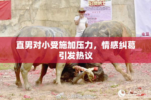 直男对小受施加压力，情感纠葛引发热议