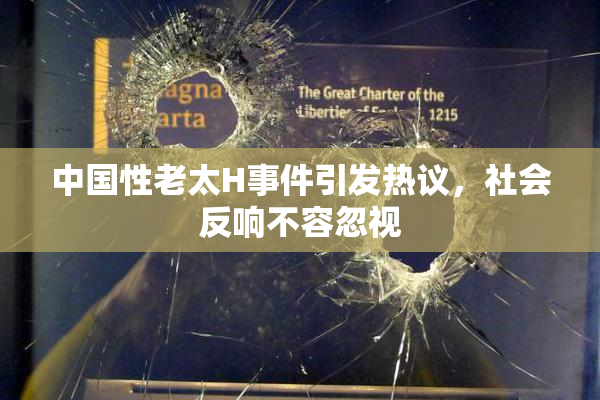 中国性老太H事件引发热议，社会反响不容忽视