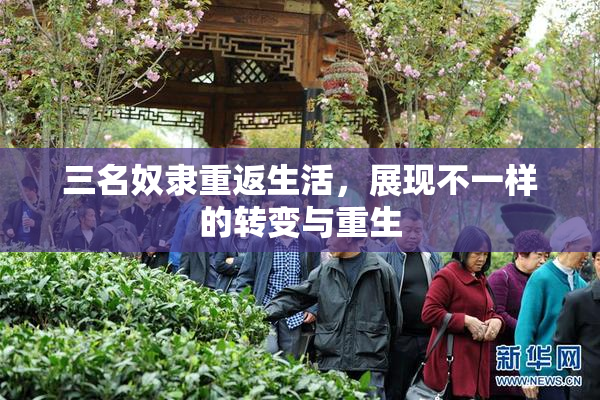三名奴隶重返生活，展现不一样的转变与重生