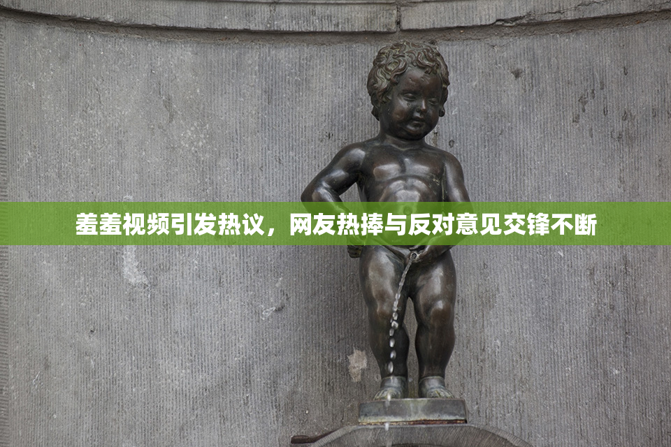 羞羞视频引发热议，网友热捧与反对意见交锋不断