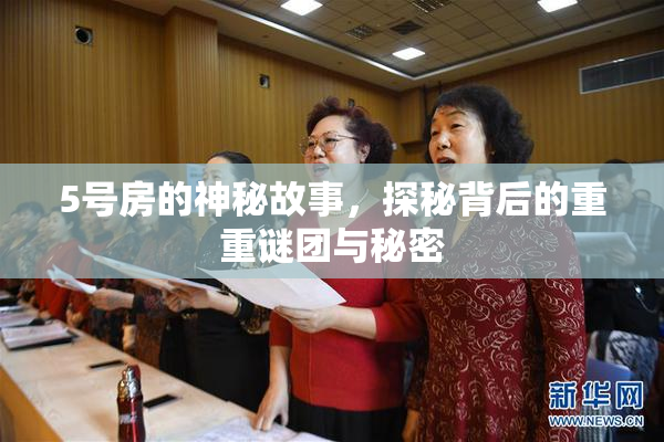 5号房的神秘故事，探秘背后的重重谜团与秘密