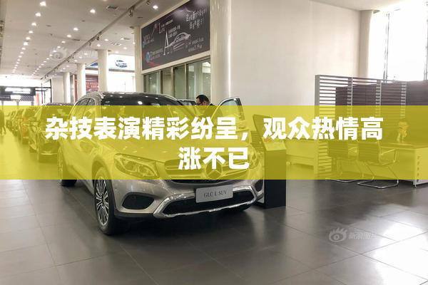 杂技表演精彩纷呈，观众热情高涨不已
