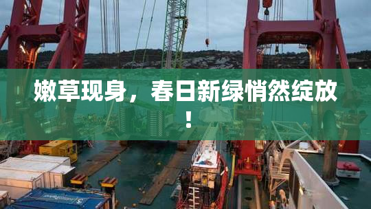 嫩草现身，春日新绿悄然绽放！