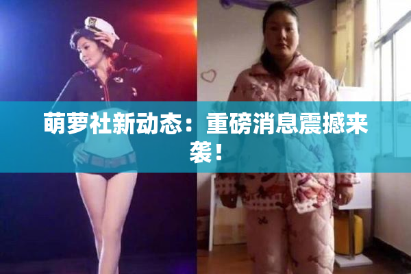 萌萝社新动态：重磅消息震撼来袭！