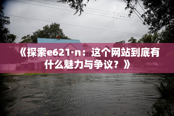 《探索e621·n：这个网站到底有什么魅力与争议？》