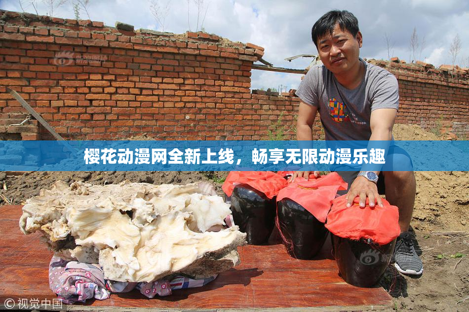 樱花动漫网全新上线，畅享无限动漫乐趣