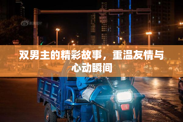 双男主的精彩故事，重温友情与心动瞬间