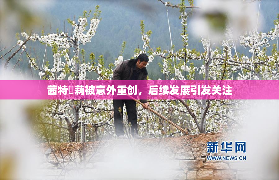 茜特菈莉被意外重创，后续发展引发关注