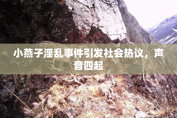小燕子淫乱事件引发社会热议，声音四起