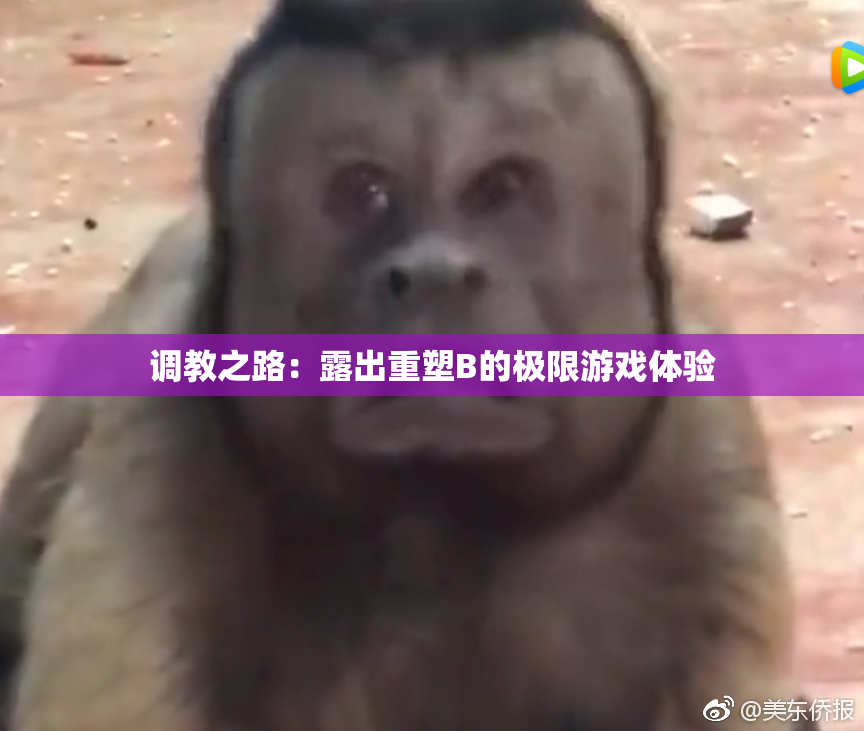 调教之路：露出重塑B的极限游戏体验