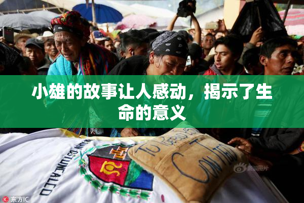 小雄的故事让人感动，揭示了生命的意义