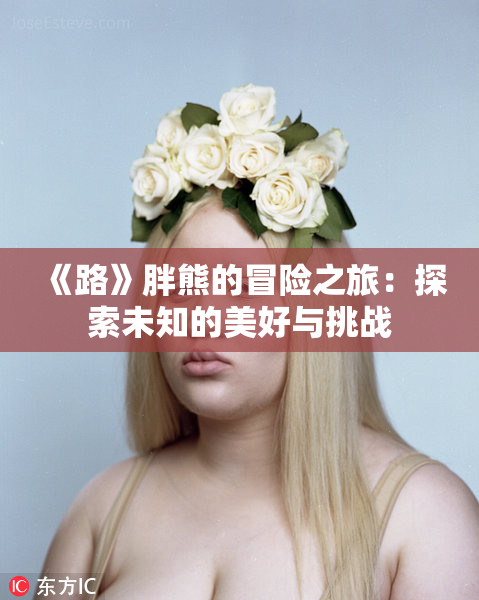 《路》胖熊的冒险之旅：探索未知的美好与挑战