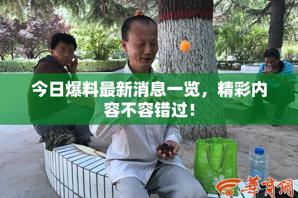 今日爆料最新消息一览，精彩内容不容错过！