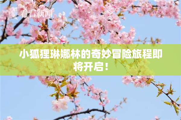 小狐狸琳娜林的奇妙冒险旅程即将开启！