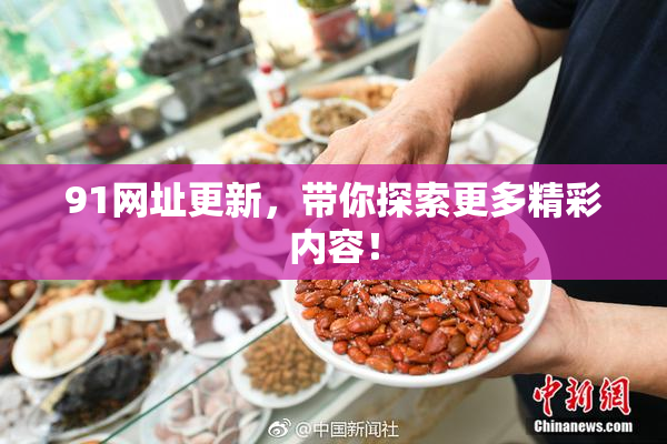 91网址更新，带你探索更多精彩内容！
