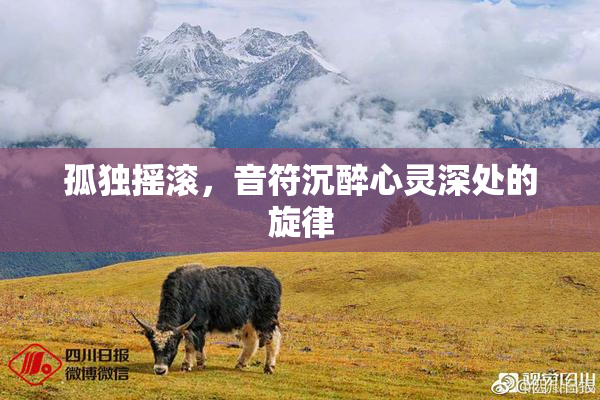 孤独摇滚，音符沉醉心灵深处的旋律
