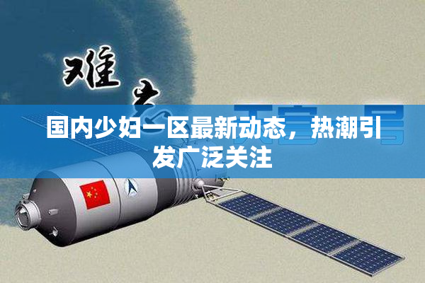 国内少妇一区最新动态，热潮引发广泛关注