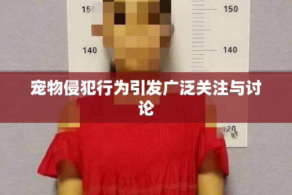 宠物侵犯行为引发广泛关注与讨论
