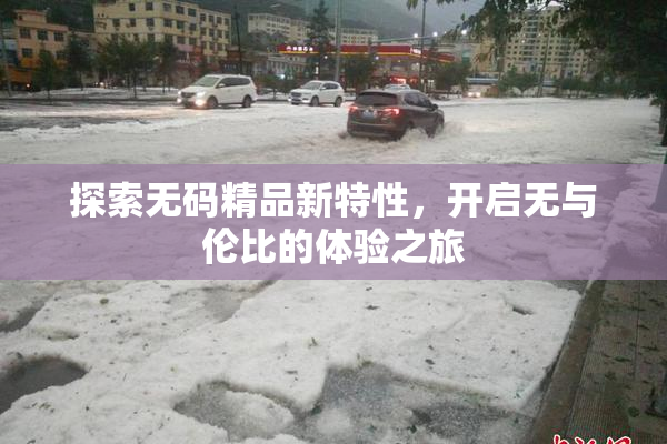 探索无码精品新特性，开启无与伦比的体验之旅