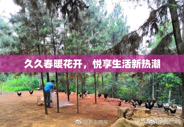 久久春暖花开，悦享生活新热潮