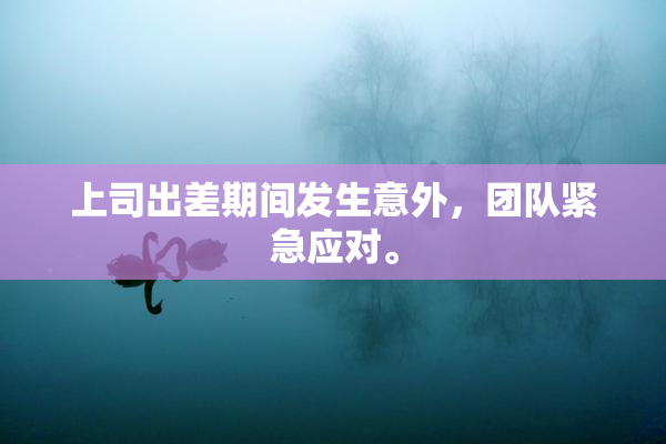 上司出差期间发生意外，团队紧急应对。
