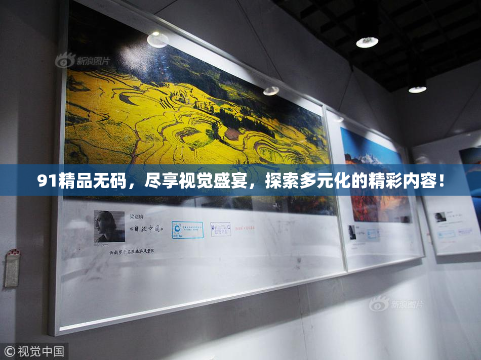 91精品无码，尽享视觉盛宴，探索多元化的精彩内容！