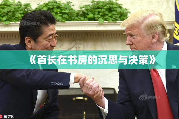 《首长在书房的沉思与决策》