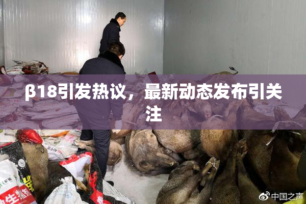 β18引发热议，最新动态发布引关注