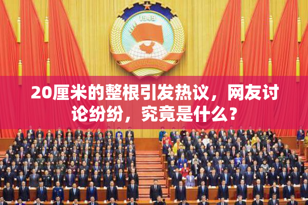 20厘米的整根引发热议，网友讨论纷纷，究竟是什么？