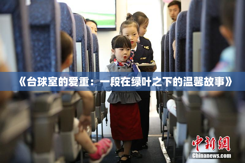 《台球室的爱重：一段在绿叶之下的温馨故事》