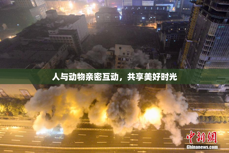 人与动物亲密互动，共享美好时光