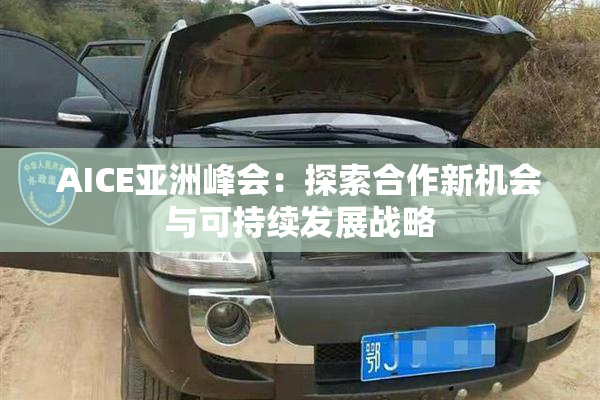 AICE亚洲峰会：探索合作新机会与可持续发展战略