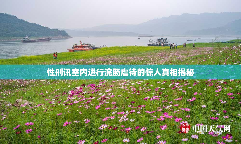 性刑讯室内进行浣肠虐待的惊人真相揭秘