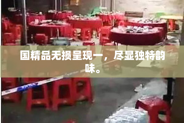 国精品无损呈现一，尽显独特韵味。