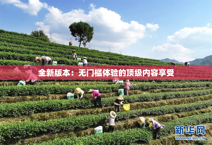 全新版本：无门槛体验的顶级内容享受