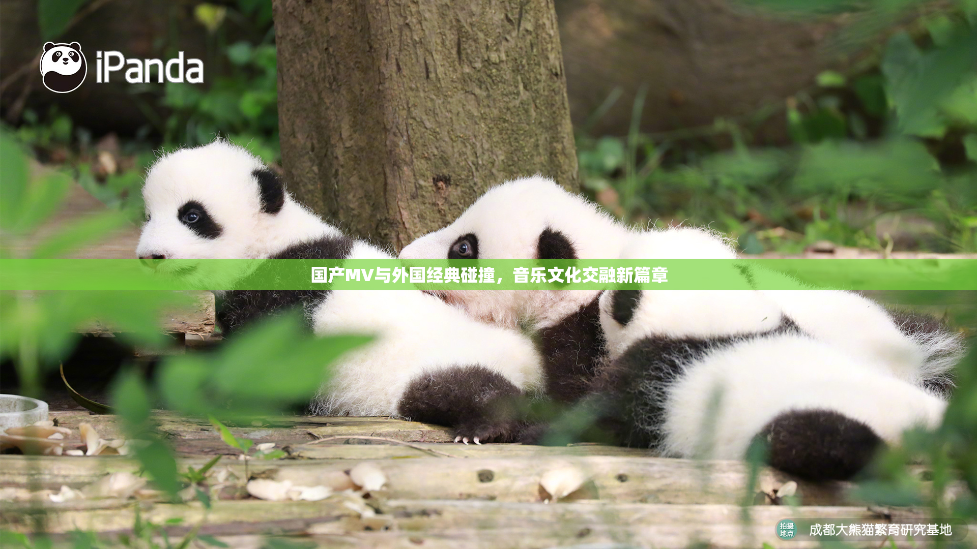 国产MV与外国经典碰撞，音乐文化交融新篇章