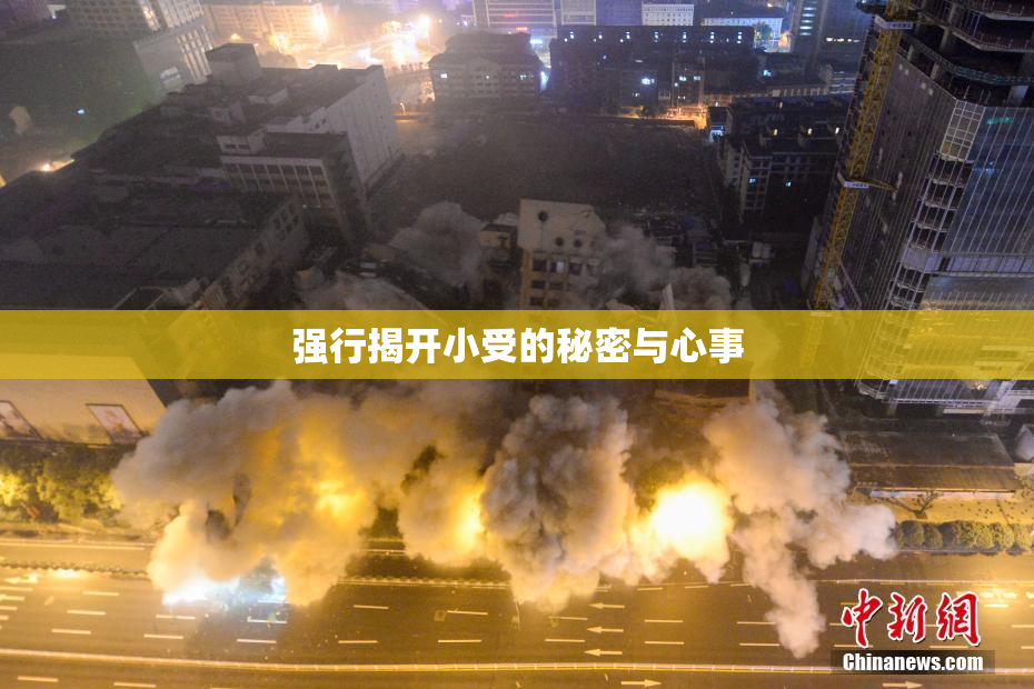 强行揭开小受的秘密与心事