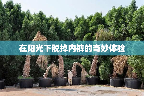 在阳光下脱掉内裤的奇妙体验