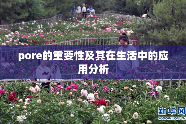 pore的重要性及其在生活中的应用分析
