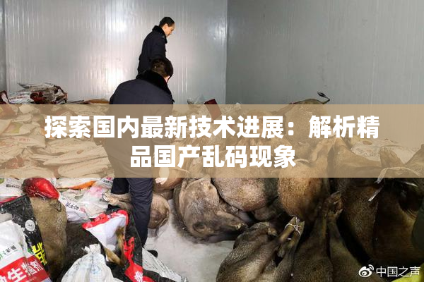 探索国内最新技术进展：解析精品国产乱码现象