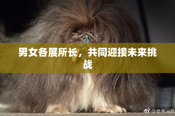 男女各展所长，共同迎接未来挑战
