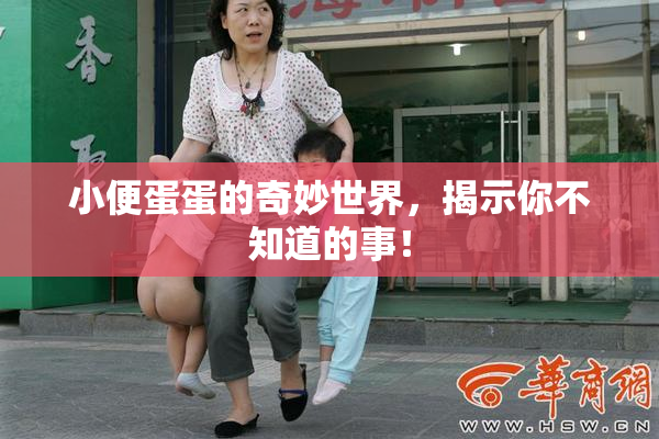 小便蛋蛋的奇妙世界，揭示你不知道的事！