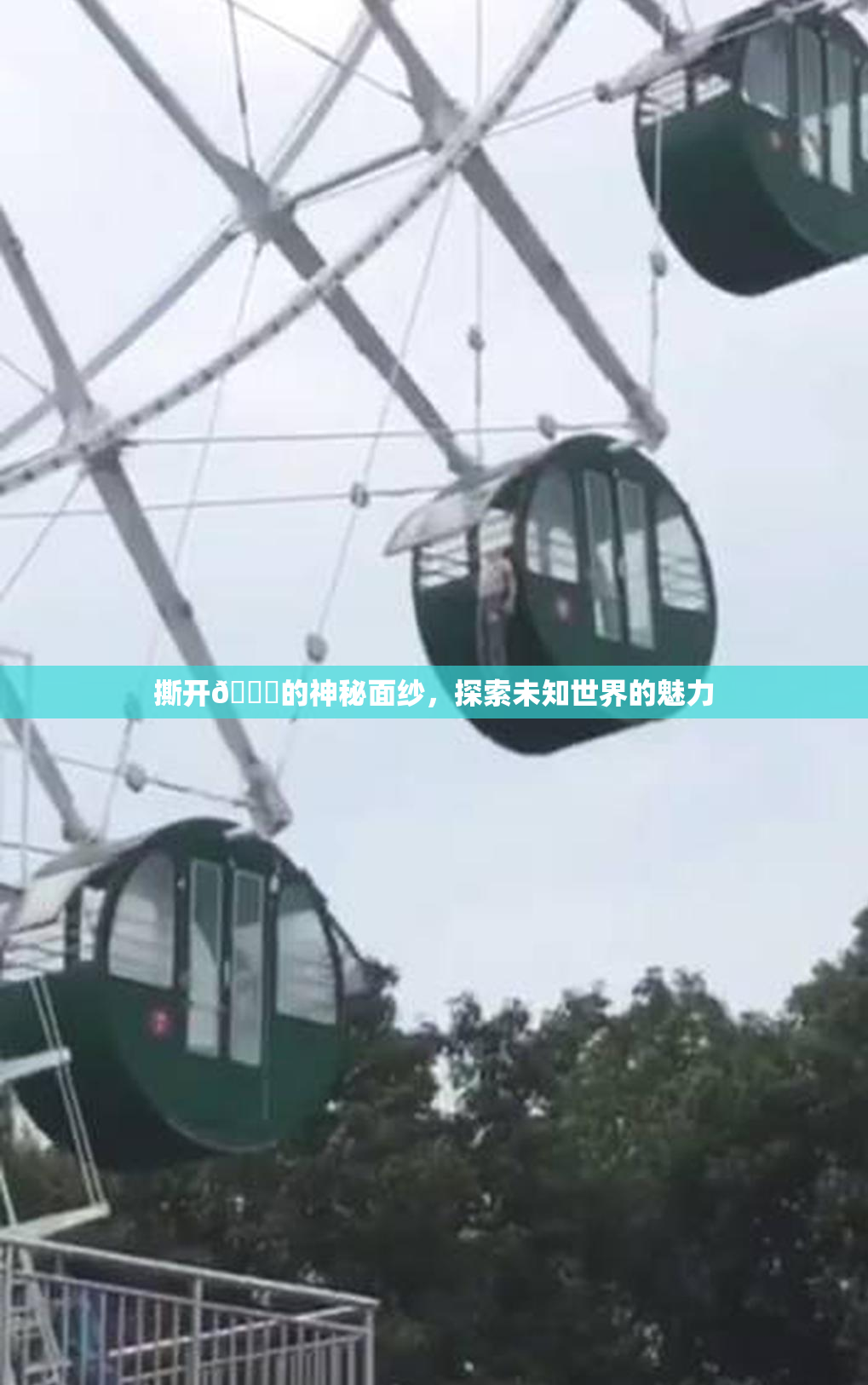 撕开👙的神秘面纱，探索未知世界的魅力