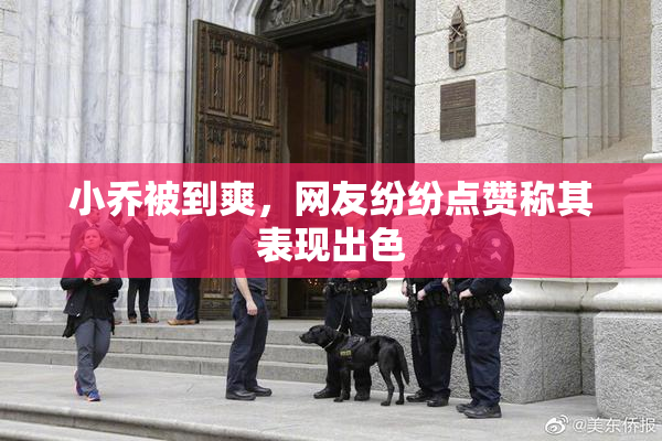 小乔被到爽，网友纷纷点赞称其表现出色