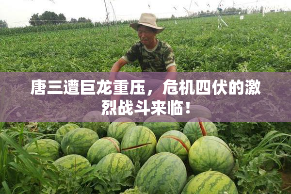 唐三遭巨龙重压，危机四伏的激烈战斗来临！